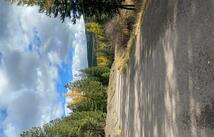 499 Haskill Ranch Road, Kila