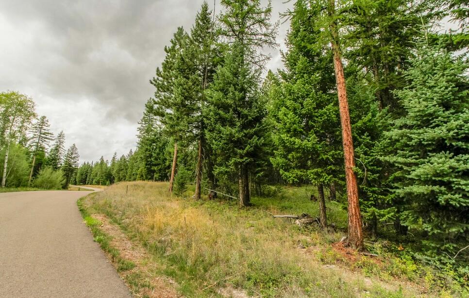 499 Haskill Ranch Road, Kila