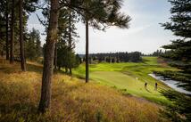 50 Boulder Lane, Eureka