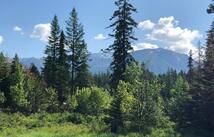 13523 Sundance Trail, Bigfork