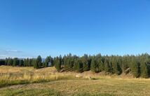 Nhn Border Lane, Rexford