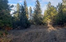 Tbd Early Dawn Drive, Big Arm