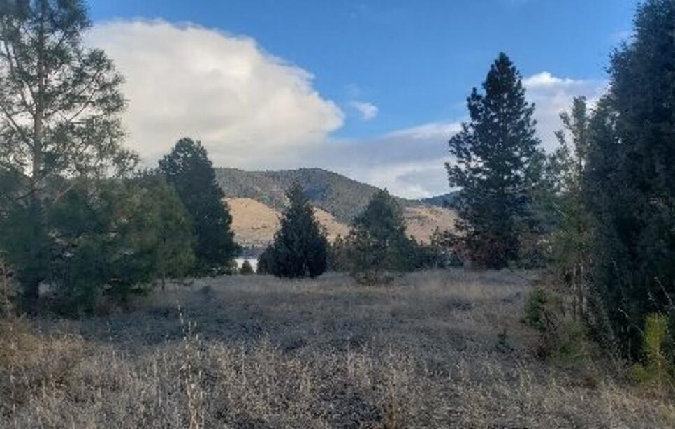 Tbd Early Dawn Drive, Big Arm