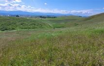 132 Grassy Loop, Eureka