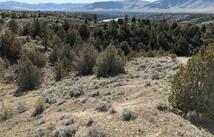 Nhn Gillette Lane, Ronan