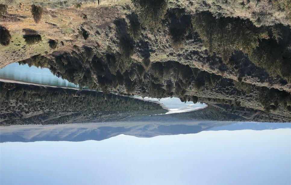 Nhn Gillette Lane, Ronan