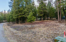 Nhn Forest Loop Road, Eureka