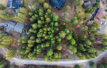 Nhn Forest Loop Road, Eureka