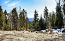 Lot 2 Meadow Springs, Fortine