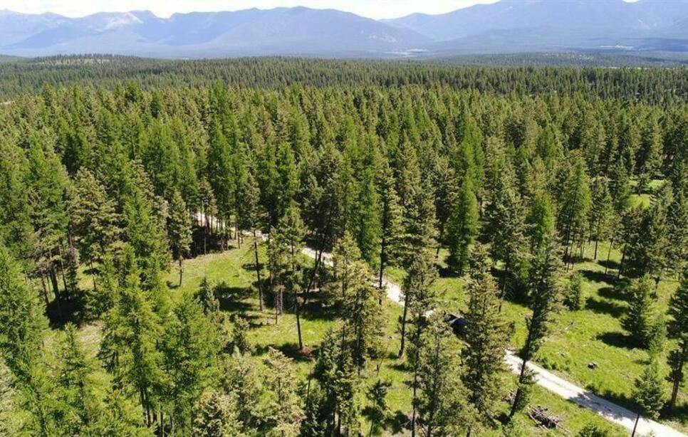 Lot 2 Meadow Springs, Fortine