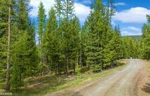 Lots 11 & 14 Tamarack Lane, Rexford