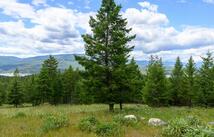 Nhn Linda Vista Drive, Rexford