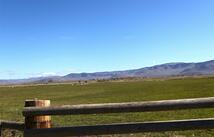 190 Patton Road, Lonepine