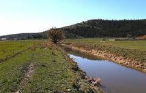 190 Patton Road, Lonepine