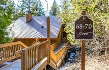 70 Limber Pine, Whitefish