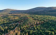 1175 Mcgregor Lake Road, Marion