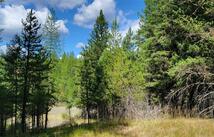 1280 Rogers Lake Road, Kila