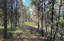 1280 Rogers Lake Road, Kila