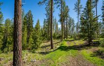 3605 Hubbart Dam Road, Marion