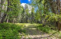 Red Hawk Drive, Bigfork