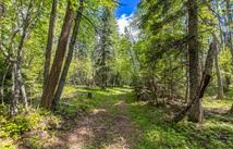Red Hawk Drive, Bigfork