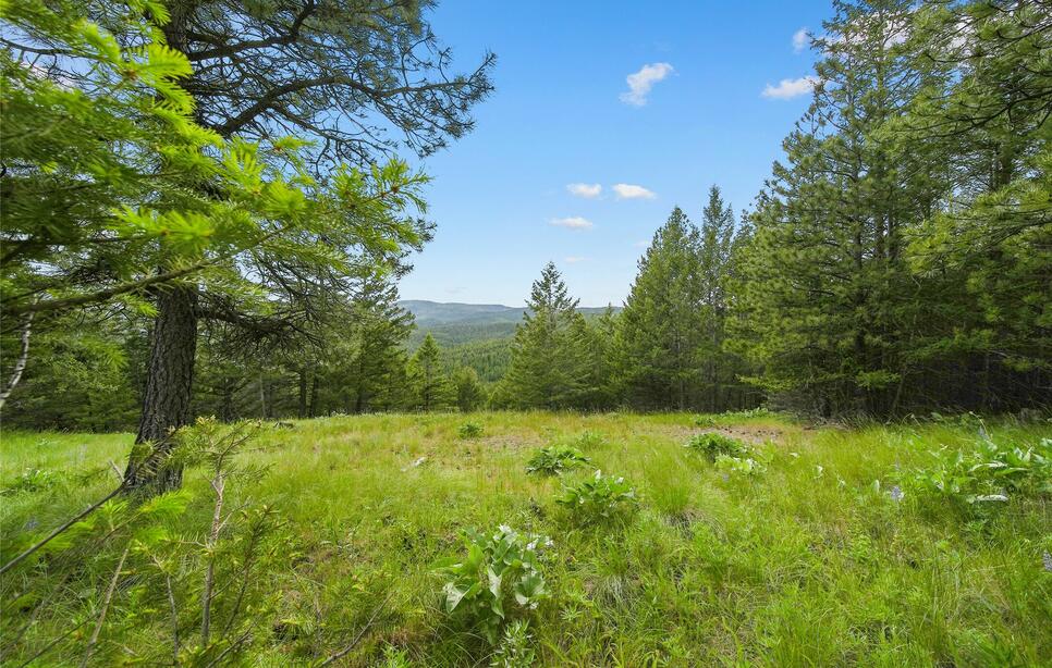 1895 Kienas Road, Kalispell