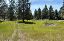 Nhn Tumbleweed Trail, Columbia Falls