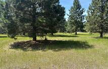 Nhn Tumbleweed Trail, Columbia Falls