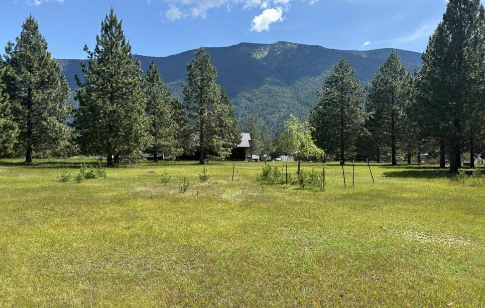 Nhn Tumbleweed Trail, Columbia Falls