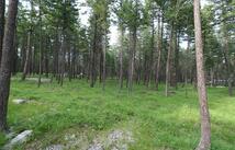 132 Squirrel Lane, Whitefish