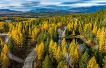 1173 Whitefish Ridge Road, Whitefish