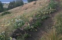 Lot 8 Long Lake Drive, Polson