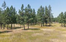 Nhn Sherman Drive, Eureka
