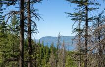 , Kalispell