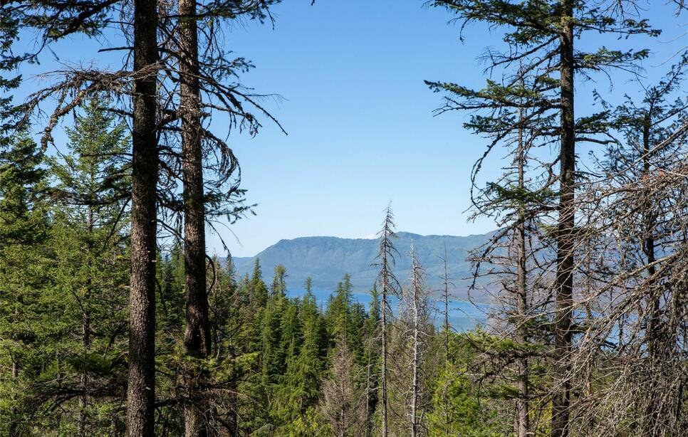 , Kalispell