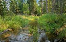 29160 Wapiti Lane, Bigfork
