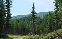 8990 North Fork Road, Polebridge