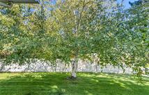 15 Teton Street, Kalispell