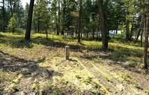 230 Cottage Lane, Kila