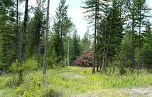 422 Haskill Ranch Road 5 Gross Acres, Kila
