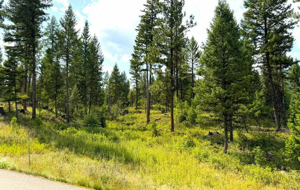 422 Haskill Ranch Road 5 Gross Acres, Kila