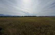 4675 Mt Highway 35, Kalispell