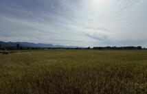 4675 Mt Highway 35, Kalispell