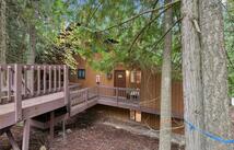 83 Limber Pine, Whitefish