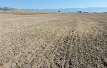 Nhn Tower Road, Polson