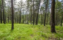 604 Ranch Road, Bigfork