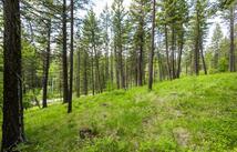 604 Ranch Road, Bigfork