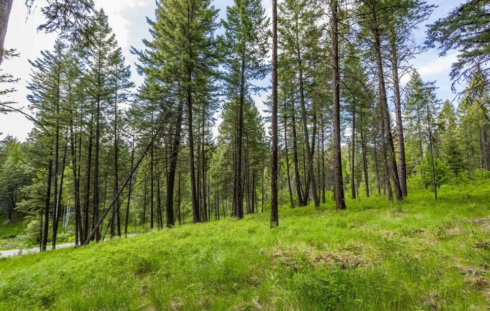 604 Ranch Road, Bigfork