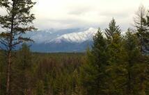 120 Acres South, Eureka