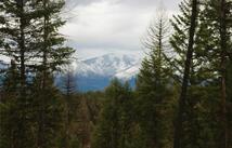 120 Acres South, Eureka